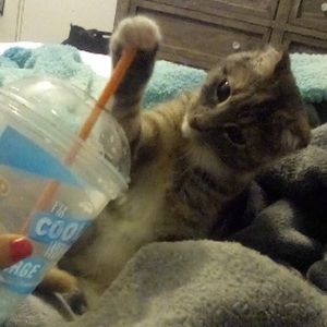 Meet your Posher, Deena